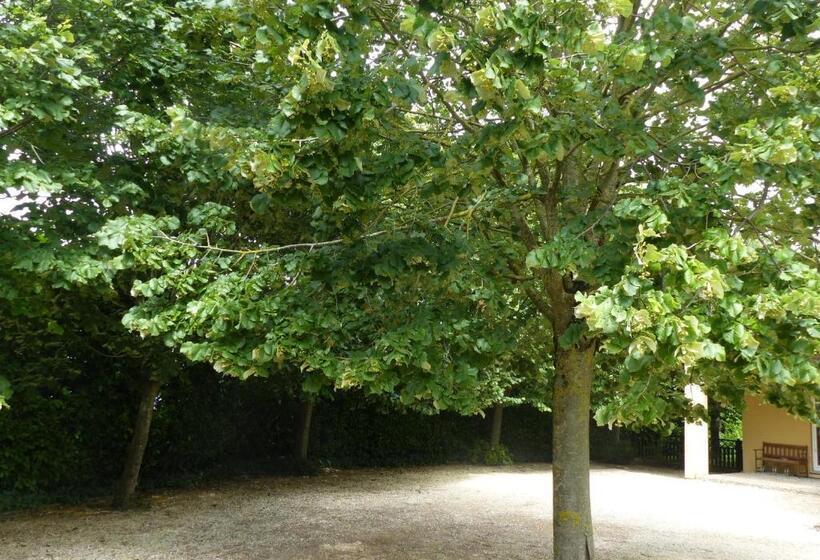 膳宿费 Wood And Work