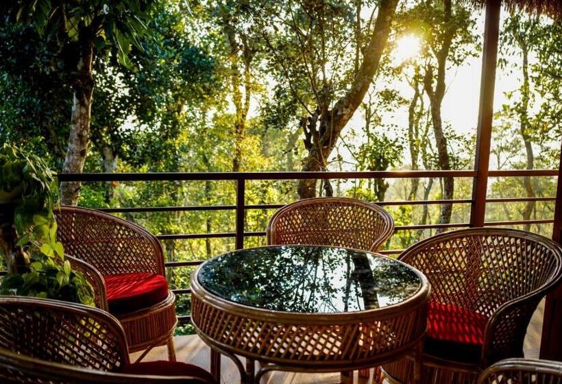 리조트 Coffee Cradle Wayanad Luxuorios Private Tree House Inside 2 Acre Coffee Plantation Wetlands Wayana