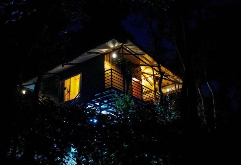 리조트 Coffee Cradle Wayanad Luxuorios Private Tree House Inside 2 Acre Coffee Plantation Wetlands Wayana