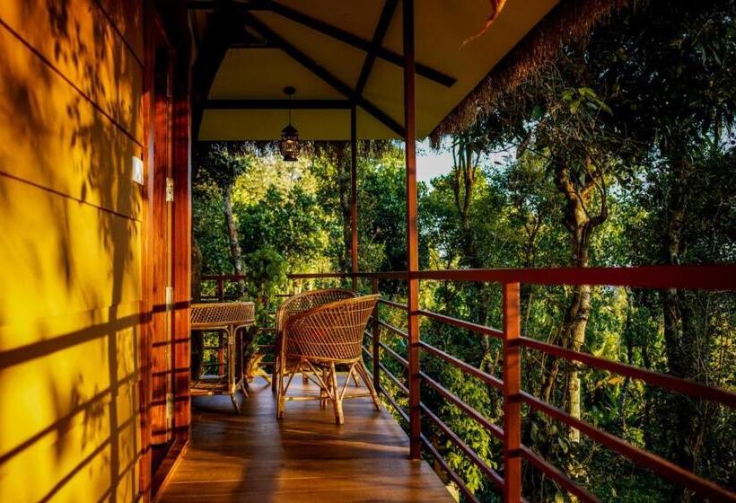 리조트 Coffee Cradle Wayanad Luxuorios Private Tree House Inside 2 Acre Coffee Plantation Wetlands Wayana