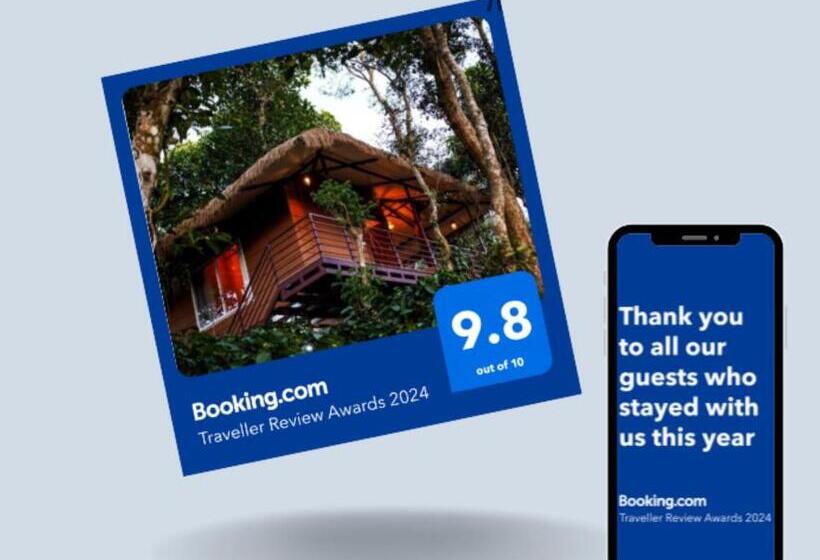 리조트 Coffee Cradle Wayanad Luxuorios Private Tree House Inside 2 Acre Coffee Plantation Wetlands Wayana