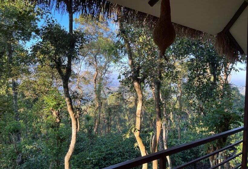 리조트 Coffee Cradle Wayanad Luxuorios Private Tree House Inside 2 Acre Coffee Plantation Wetlands Wayana