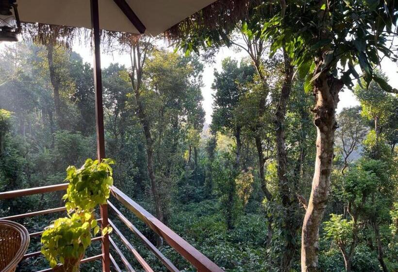 리조트 Coffee Cradle Wayanad Luxuorios Private Tree House Inside 2 Acre Coffee Plantation Wetlands Wayana