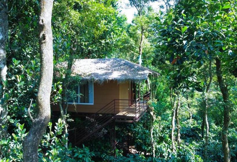 리조트 Coffee Cradle Wayanad Luxuorios Private Tree House Inside 2 Acre Coffee Plantation Wetlands Wayana
