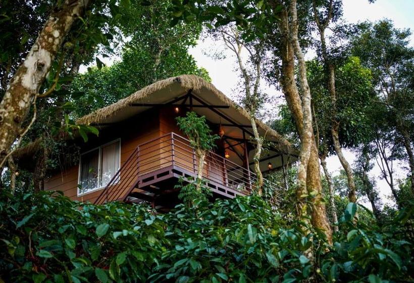 리조트 Coffee Cradle Wayanad Luxuorios Private Tree House Inside 2 Acre Coffee Plantation Wetlands Wayana