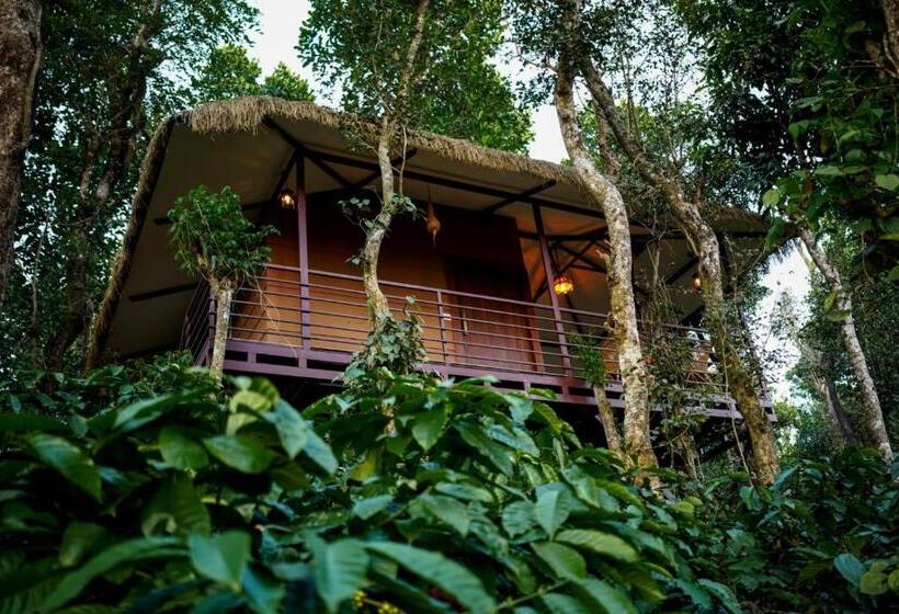 리조트 Coffee Cradle Wayanad Luxuorios Private Tree House Inside 2 Acre Coffee Plantation Wetlands Wayana