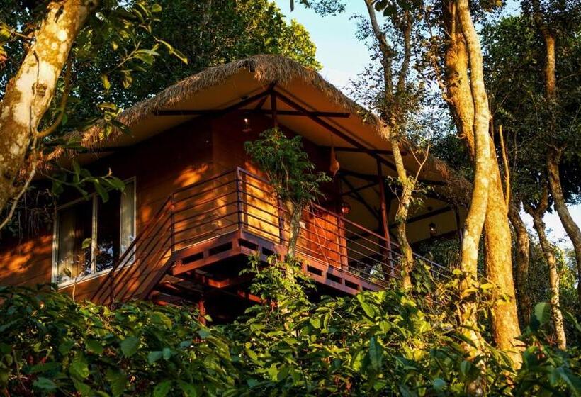 리조트 Coffee Cradle Wayanad Luxuorios Private Tree House Inside 2 Acre Coffee Plantation Wetlands Wayana