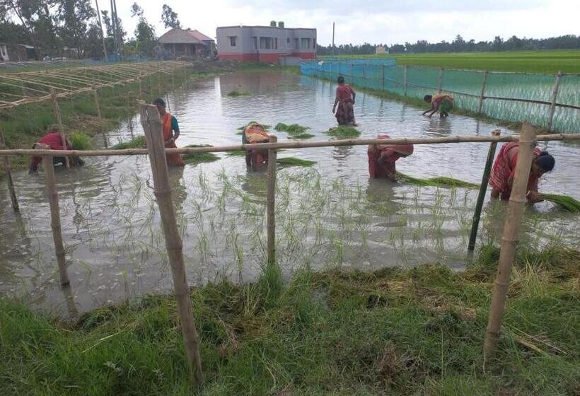 Курорт Kumirmari Ecotourism