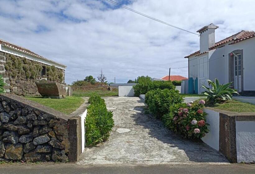 فندق صغير Rosário Guest House