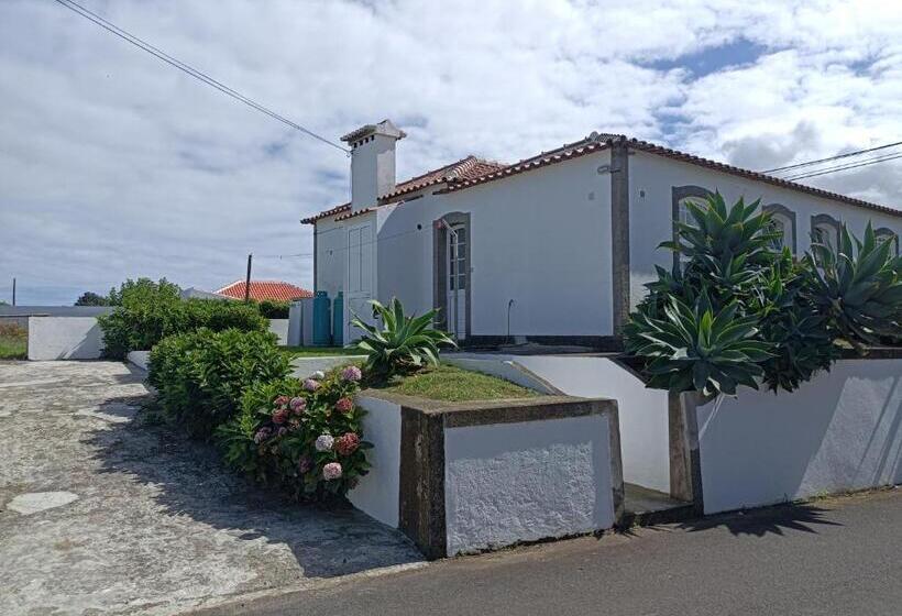 호스텔 Rosário Guest House