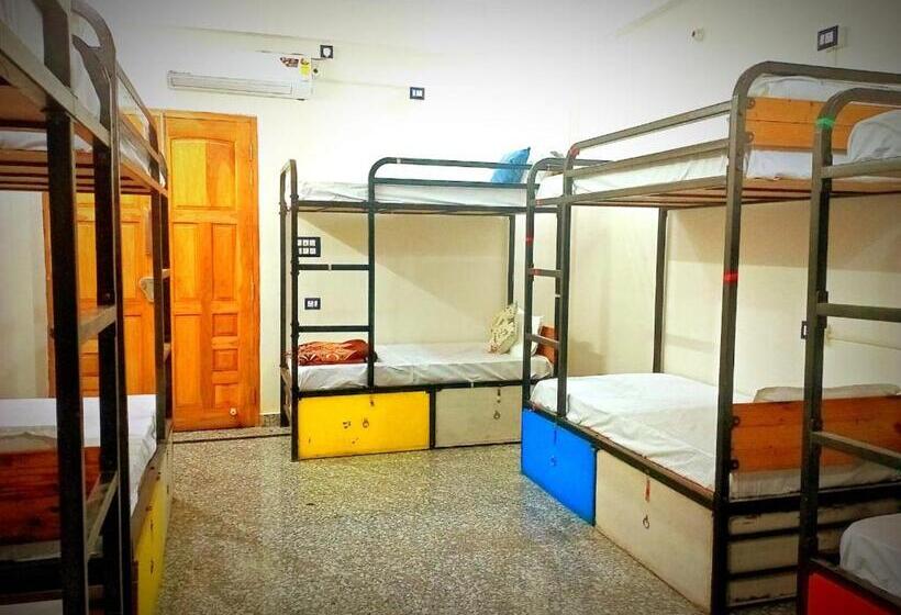 호스텔 Srinivasan Villa