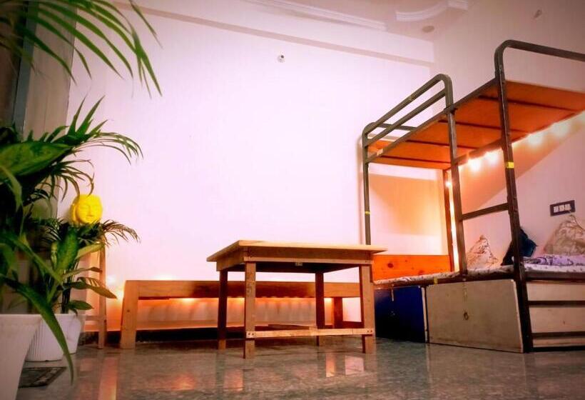 旅馆 Srinivasan Villa