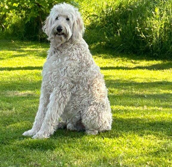 צימר Brownrigg Half A House & Garden