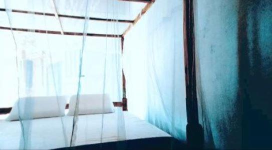 住宿加早餐 Eco World Lodge