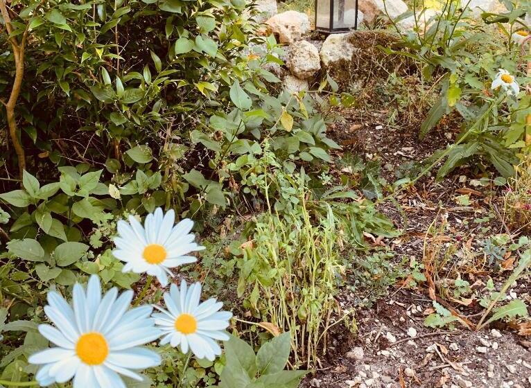 مبيت وإفطار Le Domaine Sainte Raffine, Piscine, Charme Et Insolite