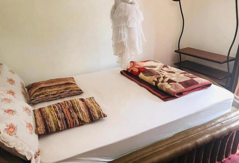 تختخواب و صبحانه Paradise Gardens Kajjansi