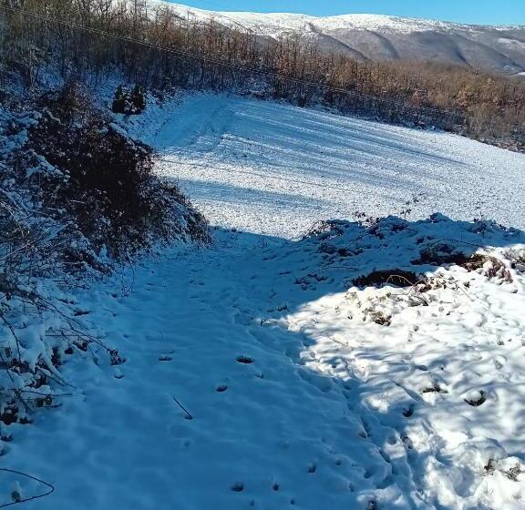 مبيت وإفطار Villa Claudi Camerino