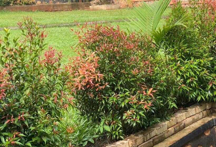 تختخواب و صبحانه Zoe Heights Villas