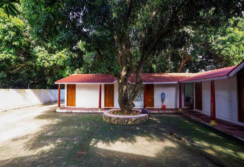 Manyura Hotels & Resorts