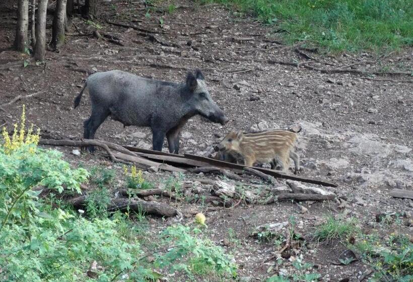 ホテル хотел чудните мостове