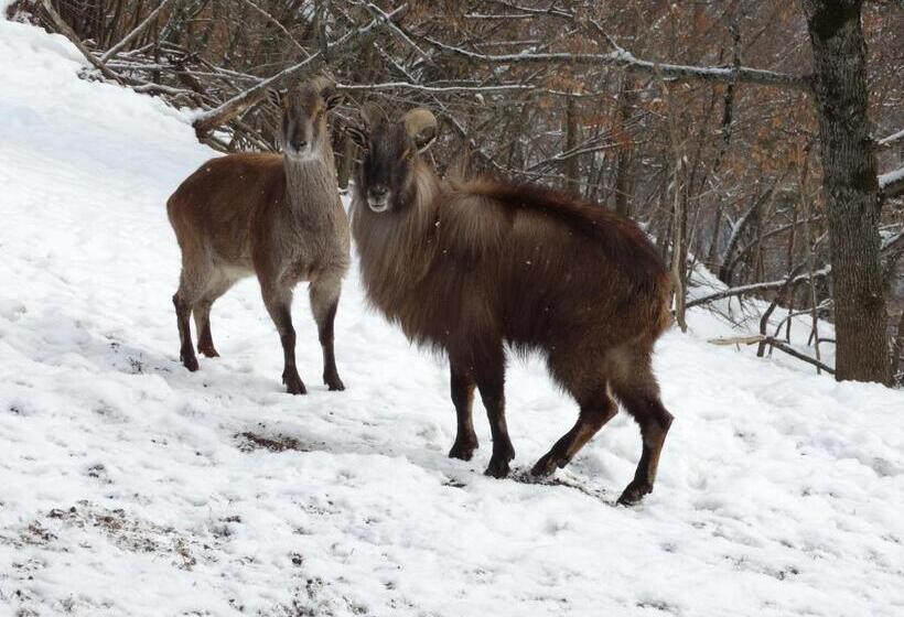 ホテル хотел чудните мостове