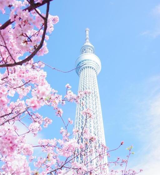 בית מלון כפרי 东京上野超级中心 设计师房间ycoee 上野公园3分钟 车站1分钟 超级繁华 免费wifi 戴森吹风