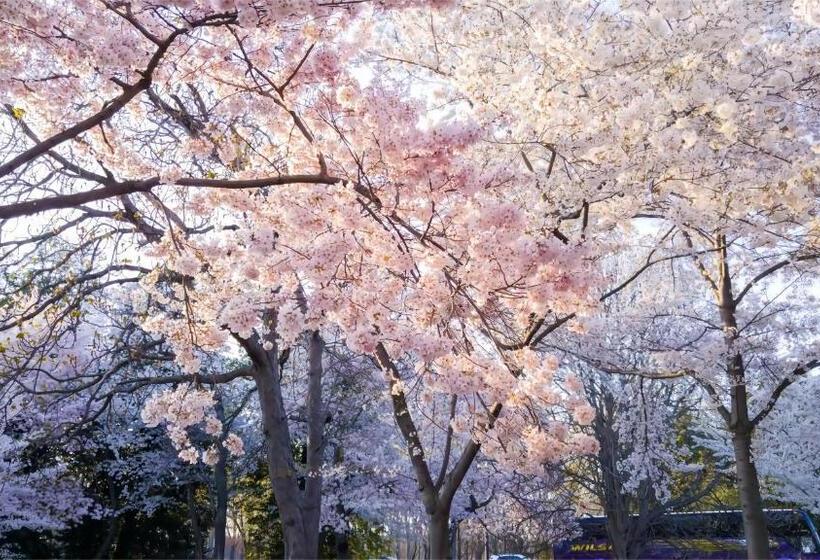 בית מלון כפרי 东京上野超级中心 设计师房间ycoee 上野公园3分钟 车站1分钟 超级繁华 免费wifi 戴森吹风