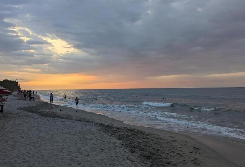 فندق Beach Life Palomino & Beach Club