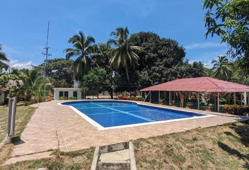 فندق Beach Life Palomino & Beach Club