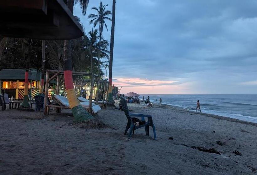 Отель Beach Life Palomino & Beach Club