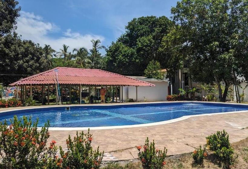 فندق Beach Life Palomino & Beach Club