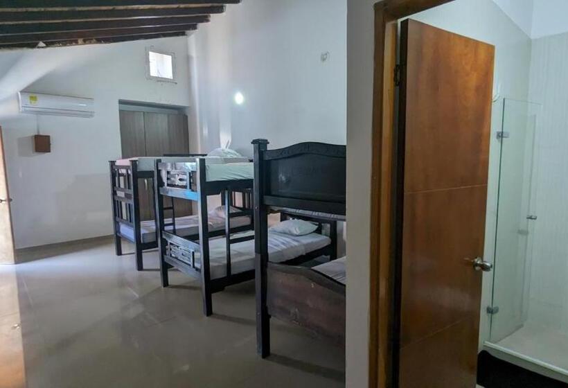 فندق Beach Life Palomino & Beach Club