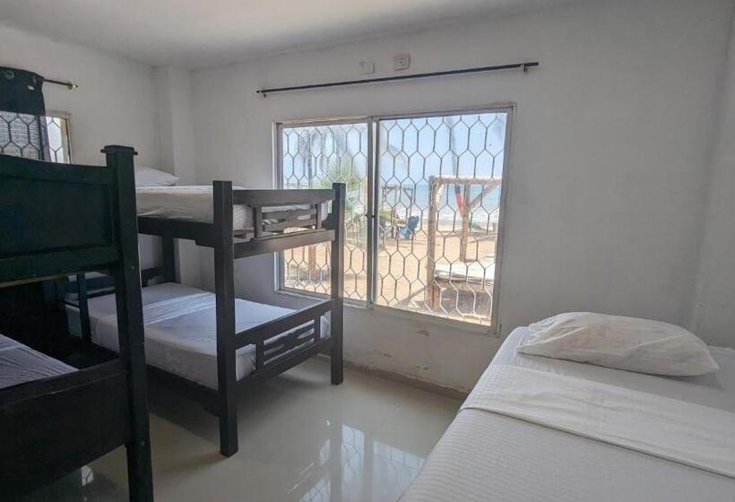 فندق Beach Life Palomino & Beach Club