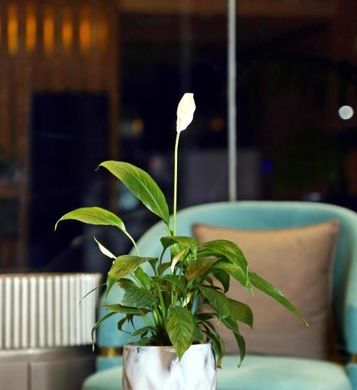 ホテル Blusalzz Residence Amritsar