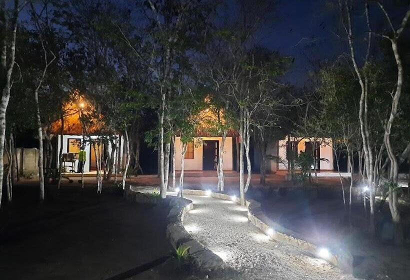 Отель Cabañas Maalokin