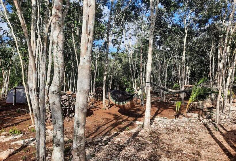 Отель Cabañas Maalokin