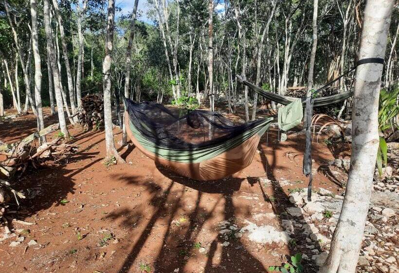 Отель Cabañas Maalokin