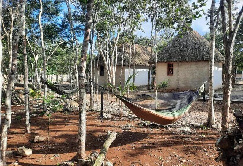 Отель Cabañas Maalokin