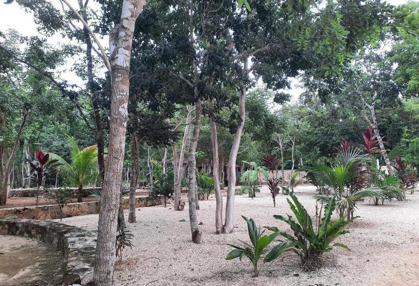 Отель Cabañas Maalokin