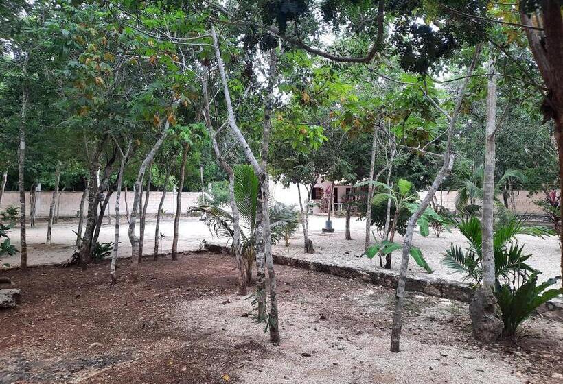 Отель Cabañas Maalokin