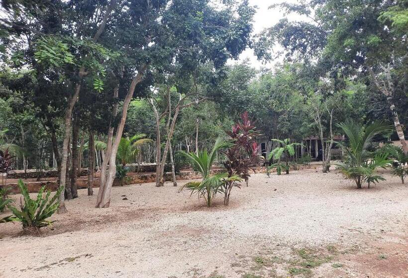 Отель Cabañas Maalokin