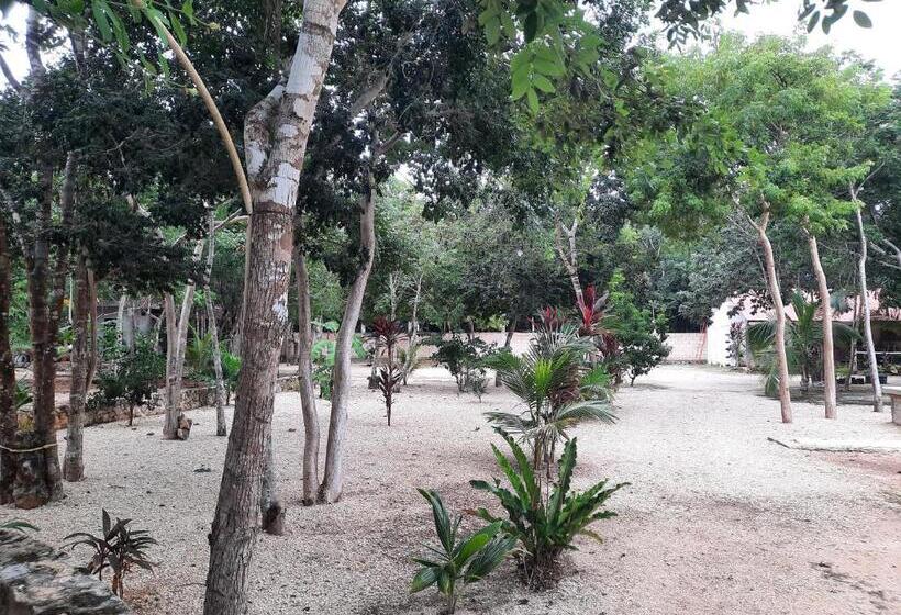 Отель Cabañas Maalokin