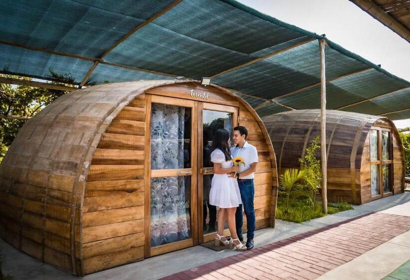 בית מלון כפרי Glamping Toneles Y Viñedos