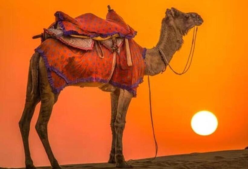 Отель Griat Sandy Desert Camp Jaisalmer