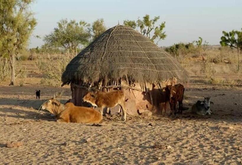 Отель Griat Sandy Desert Camp Jaisalmer