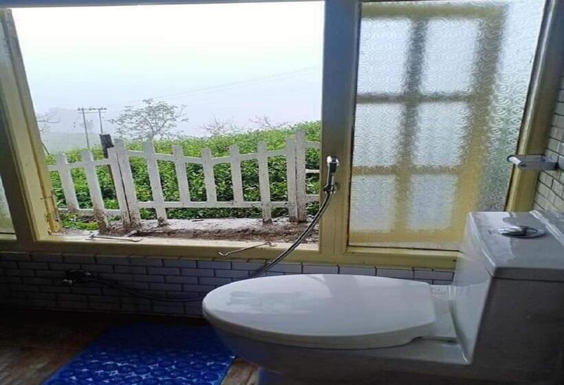 호텔 Salamander Jungle Camp By Stayapart