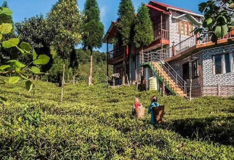 호텔 Salamander Jungle Camp By Stayapart