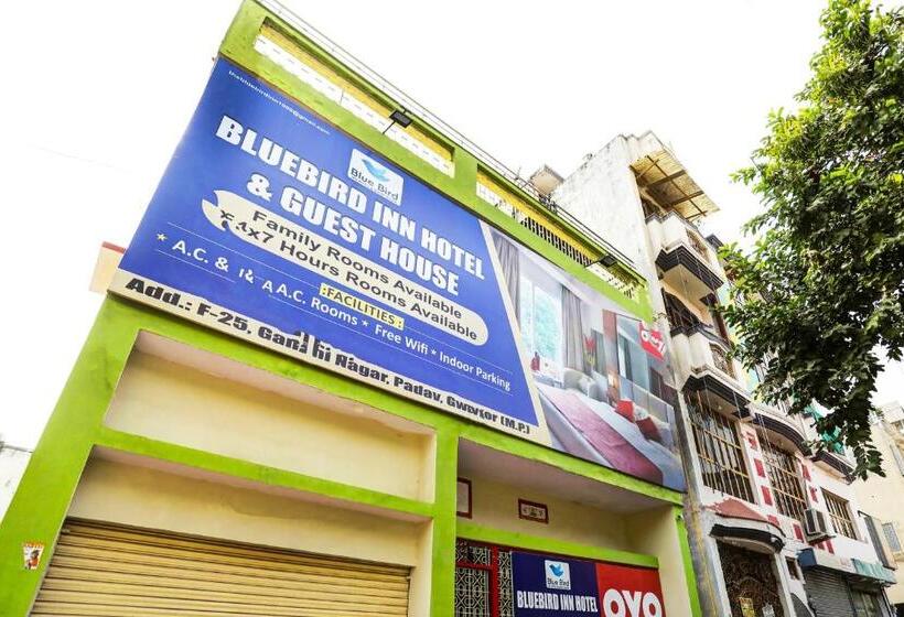 Oyo Bluebird Inn Hotel And Guest House