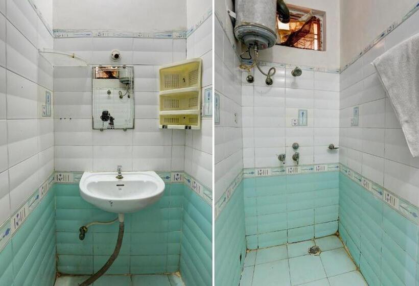 Oyo Bluebird Inn Hotel And Guest House