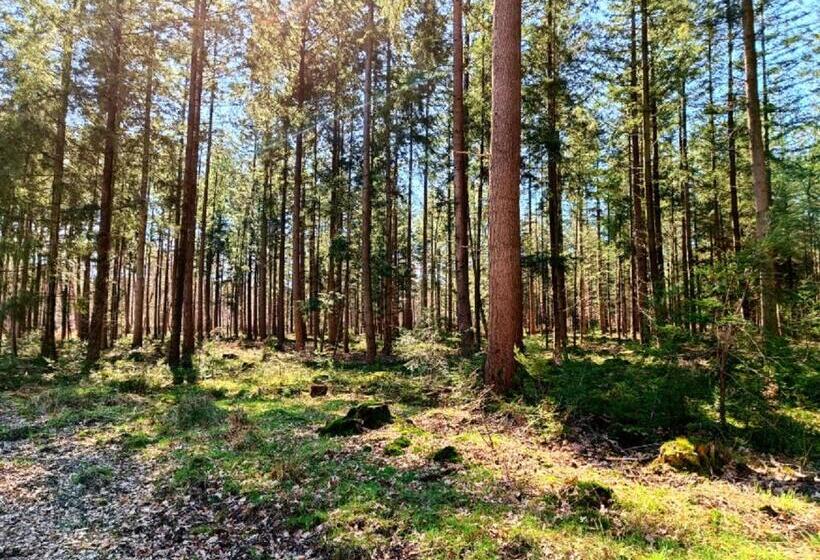 پانسیون Huisje Wenum   Apeldoorn Met Jacuzzi